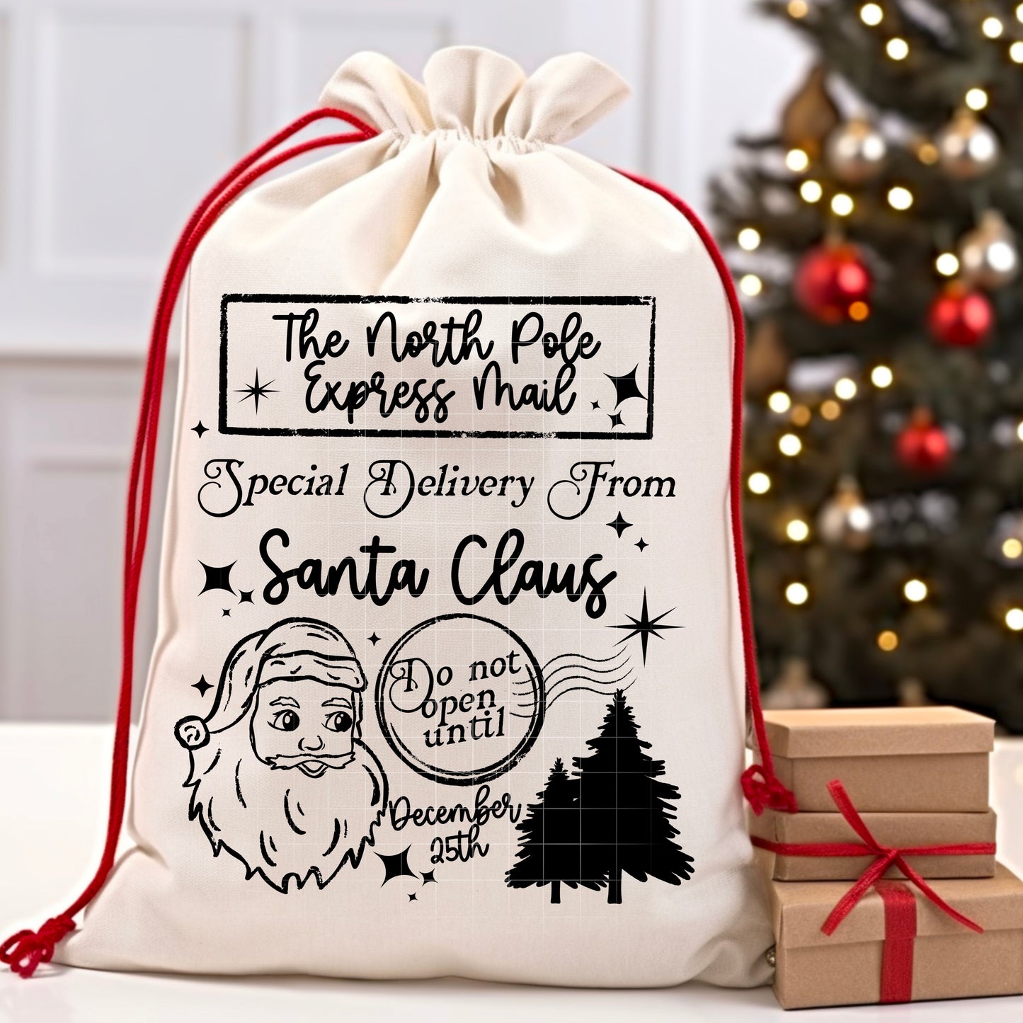 North pole express mail