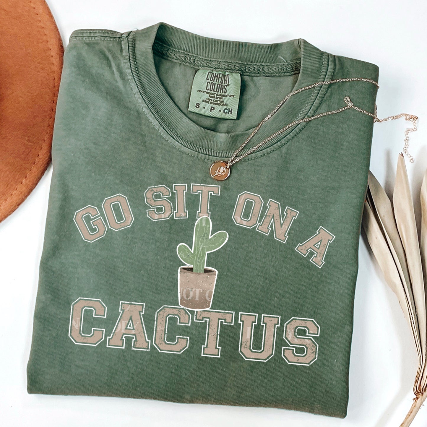 Go sit on a cactus