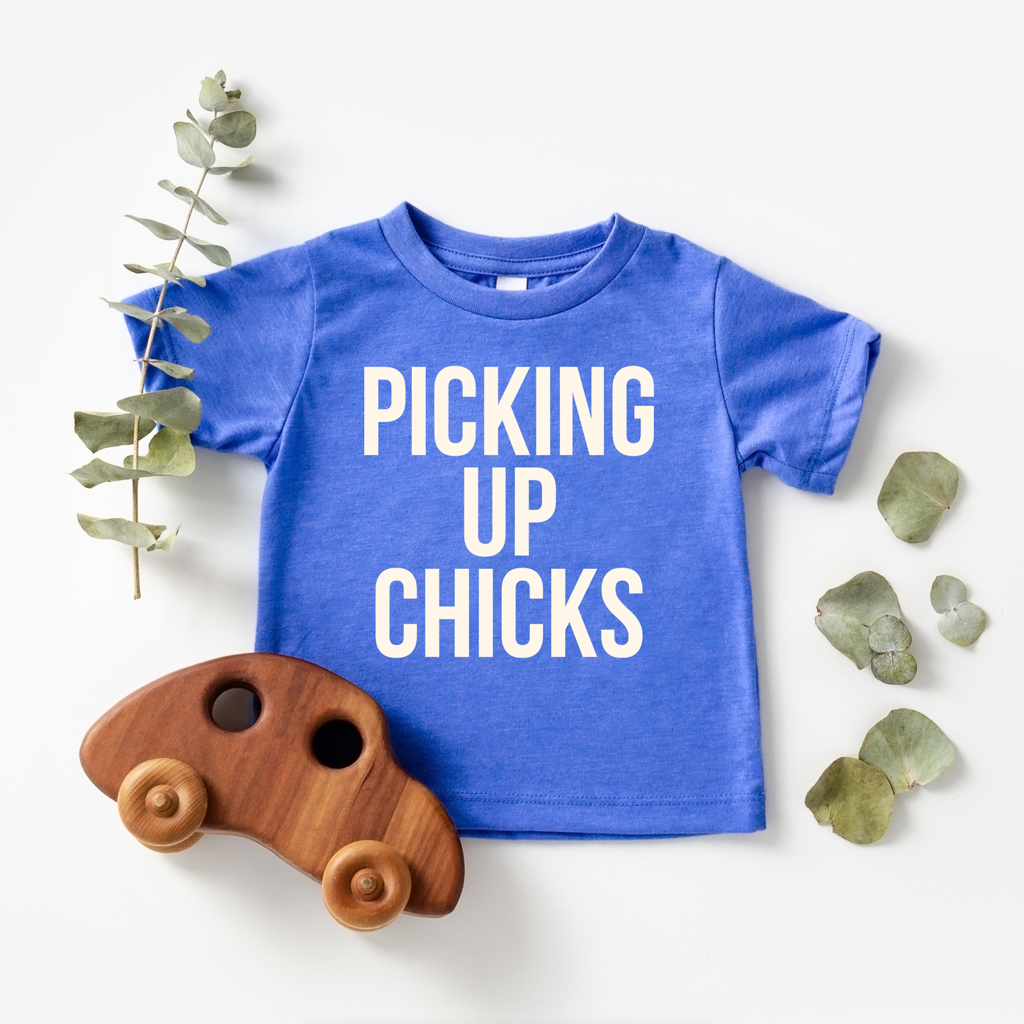 Picking up chicks