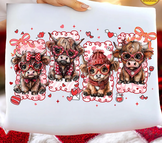 Baby highland cows Valentine