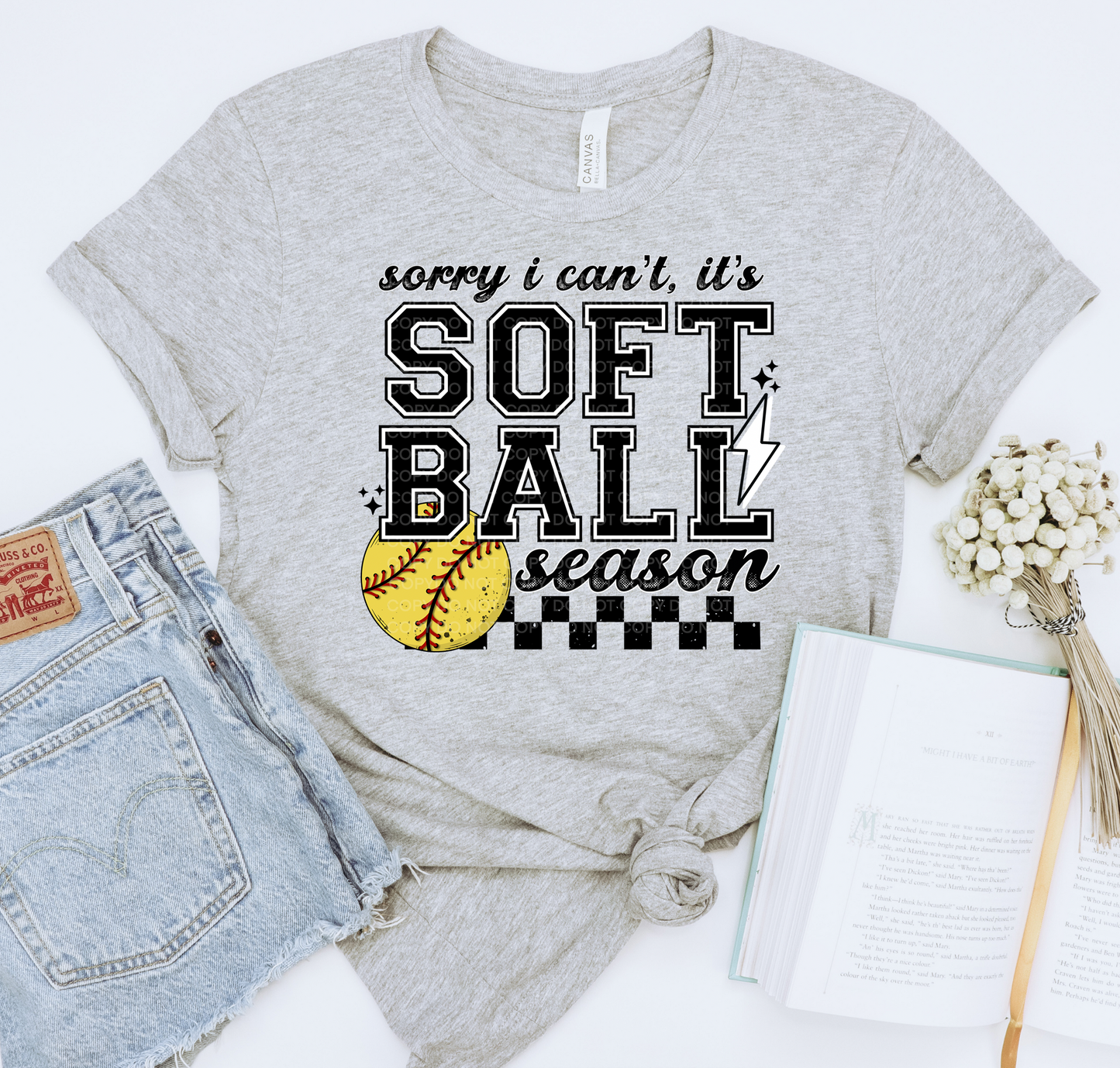 Sorry I can't softball season