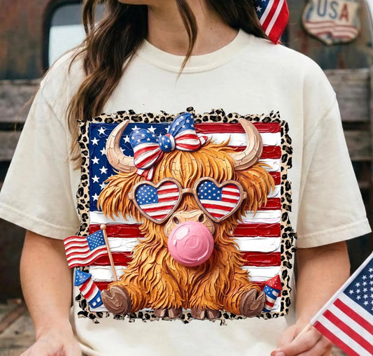 Highland cow 4thof July