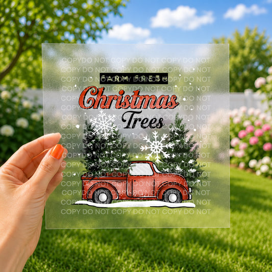 Farm fresh Christmas trees