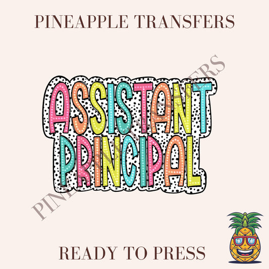 Assistant Principal