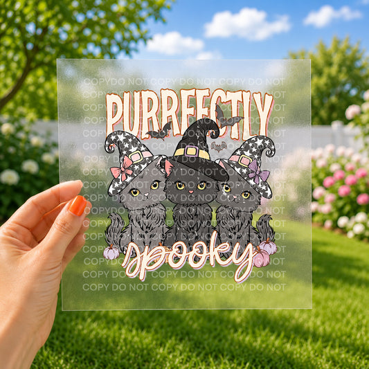 Purrfectly spooky