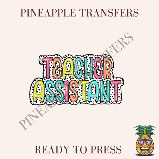 Teacher Assistant