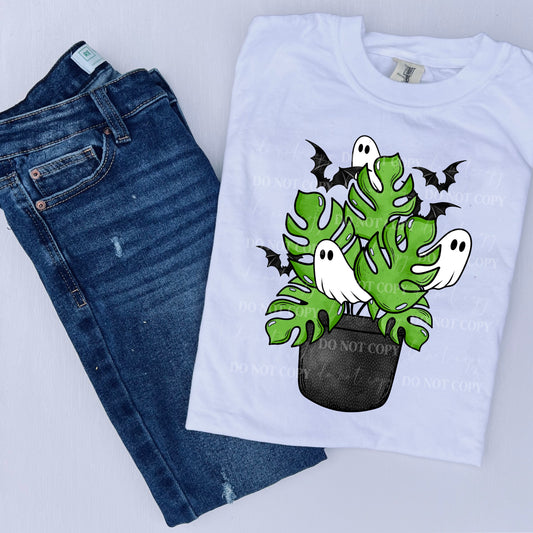 Ghosties & plants