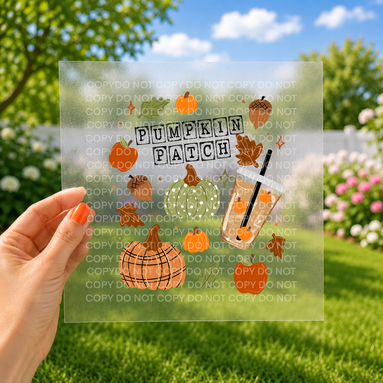 Pumpkin patch