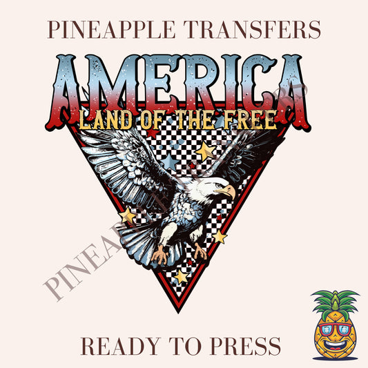 America land of the free